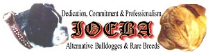 International Olde English Bulldogge Association