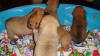 Pups 3-20-2012